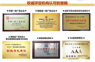 廠家直供高品質(zhì)藍(lán)牙耳機(jī)——立體聲耳掛式耳機(jī)引領(lǐng)時(shí)尚文化傳播