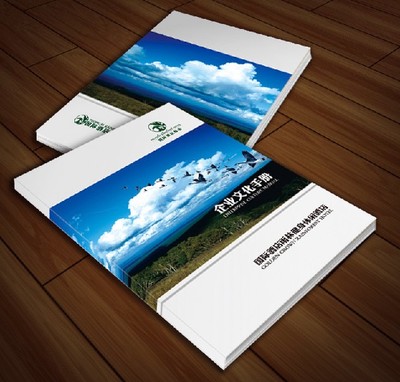 供應(yīng)福建廣告印刷、畫冊印刷與雜志印刷 莆田印刷廠家的專業(yè)服務(wù)